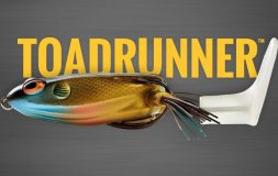 Toadrunner bait multiple color grey background