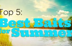 Top 5 best baits for summer fishing headline