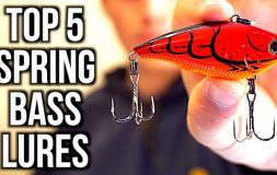 Top 5 spring bass lures headline