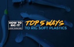 Top 5 ways to rig soft plastics