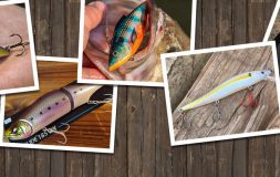 Top spring baits photo