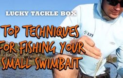 Top techniques for fishing your small swimbait