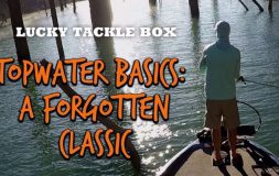 Topwater basics a forgotten classic