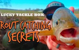 Trout catching secrets