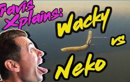 Wacky vs neko