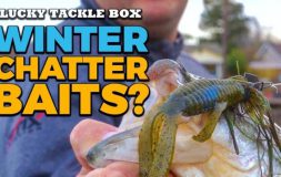 Winter chatter baits