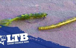 Yellow and green bait laid on the surface